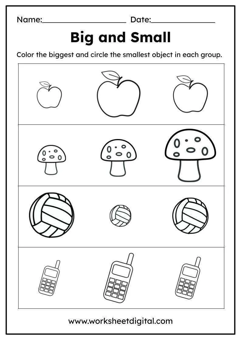 Worksheet for preschoolers to compare sizes and develop spatial awareness
