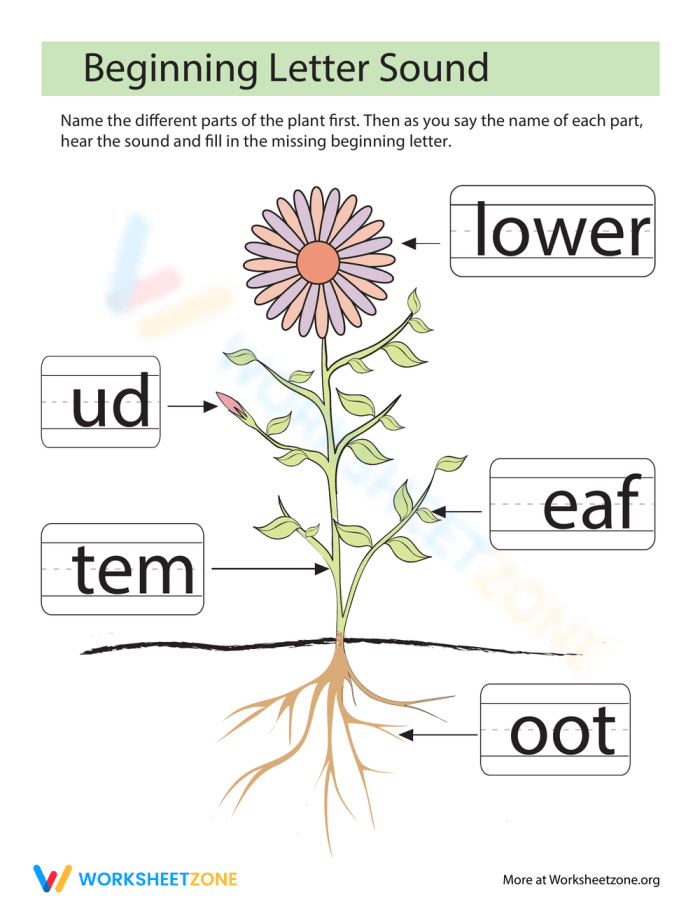 Pre-K beginning sounds worksheet featuring plant parts with missing letters to complete Missing Letters: Parts of a Plant worksheet activity for preschoolers learning alphabet sounds and letter recognition
