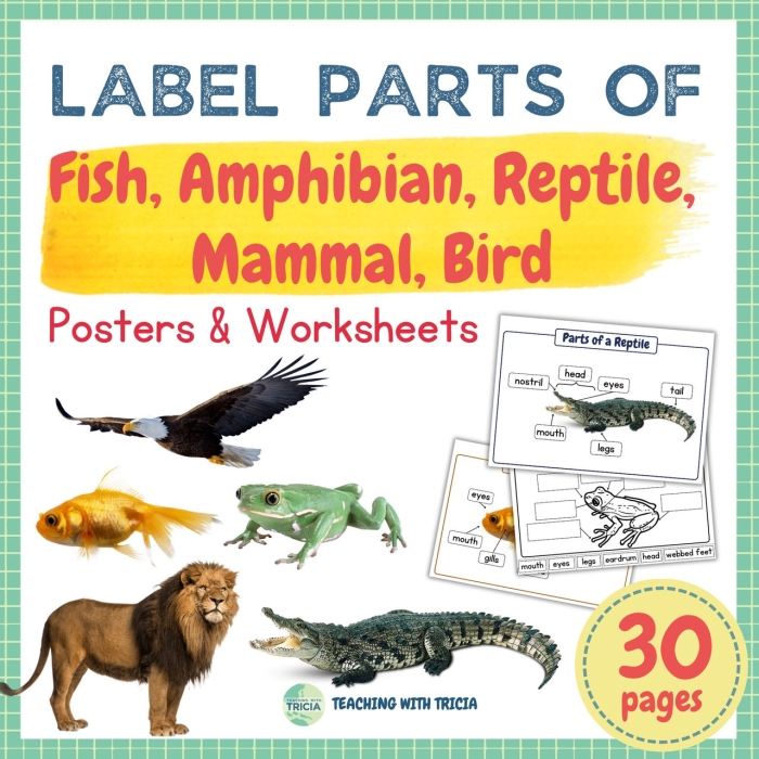 A colorful A-Z African American Visionaries poster worksheet for preschool classroom decoration