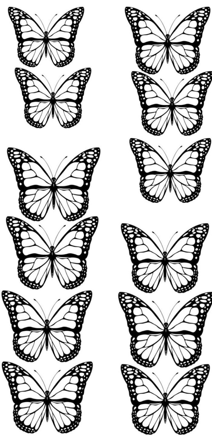 Colorful butterfly cutout template worksheet for preschool arts and crafts