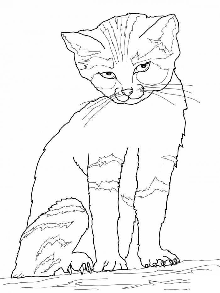 Color the Mommy Cat and Kittens worksheet for preschool children