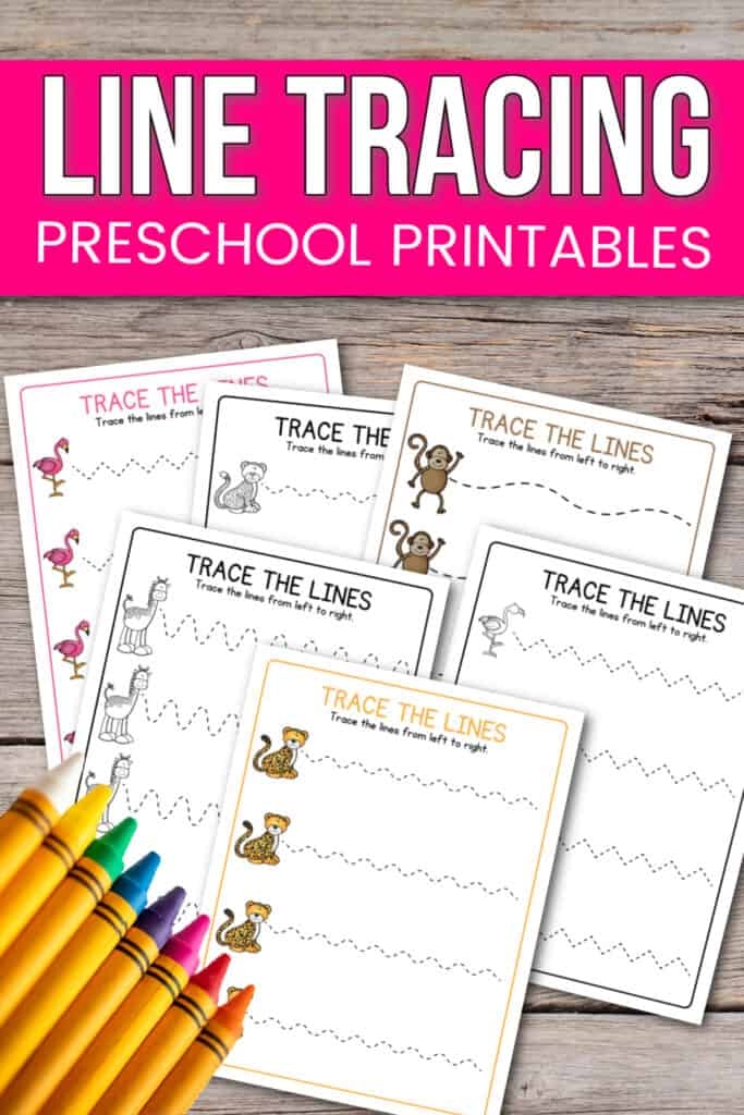 A preschool worksheet showing a friendly dog with curved dotted lines for children to trace with their fingers or pencils