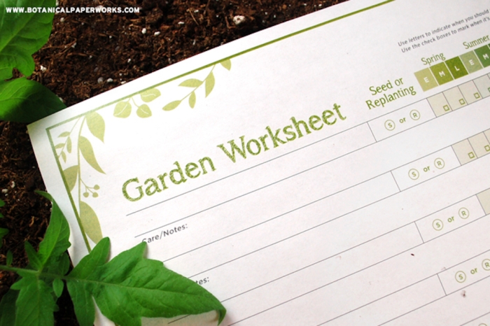 Preschool student coloring and cutting out colorful fruit shapes to plant in a garden worksheet activity