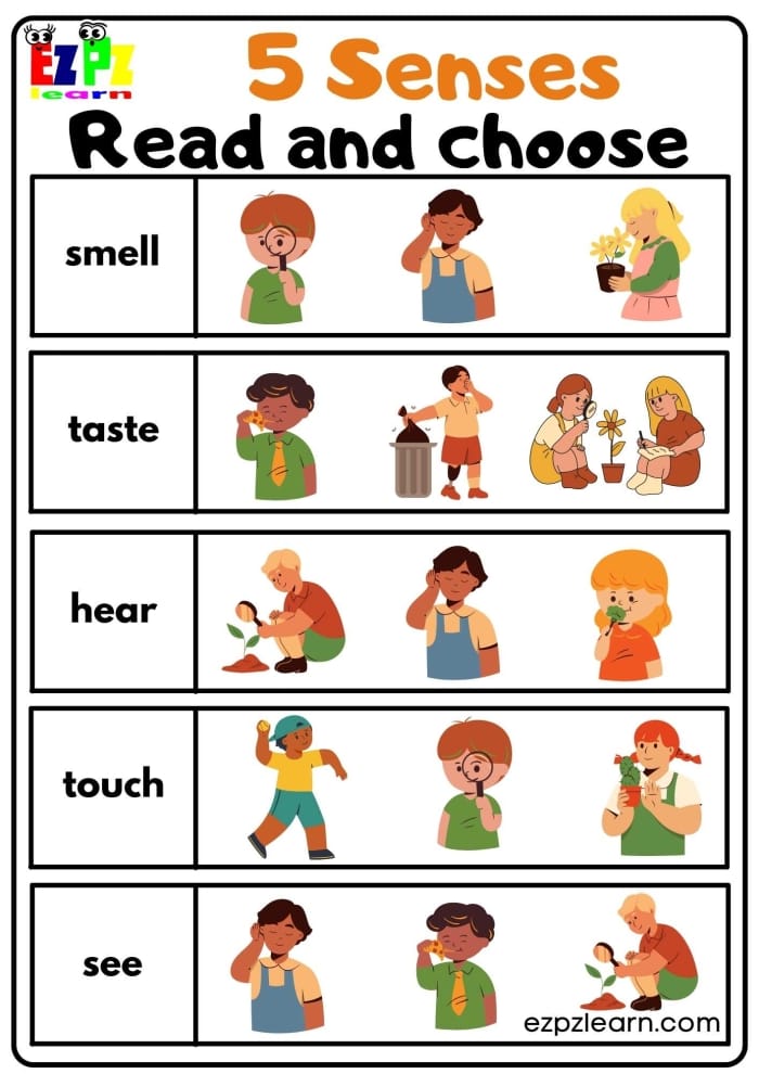 My Five Senses Match-Up 1 worksheet for preschool students to connect body parts with actions