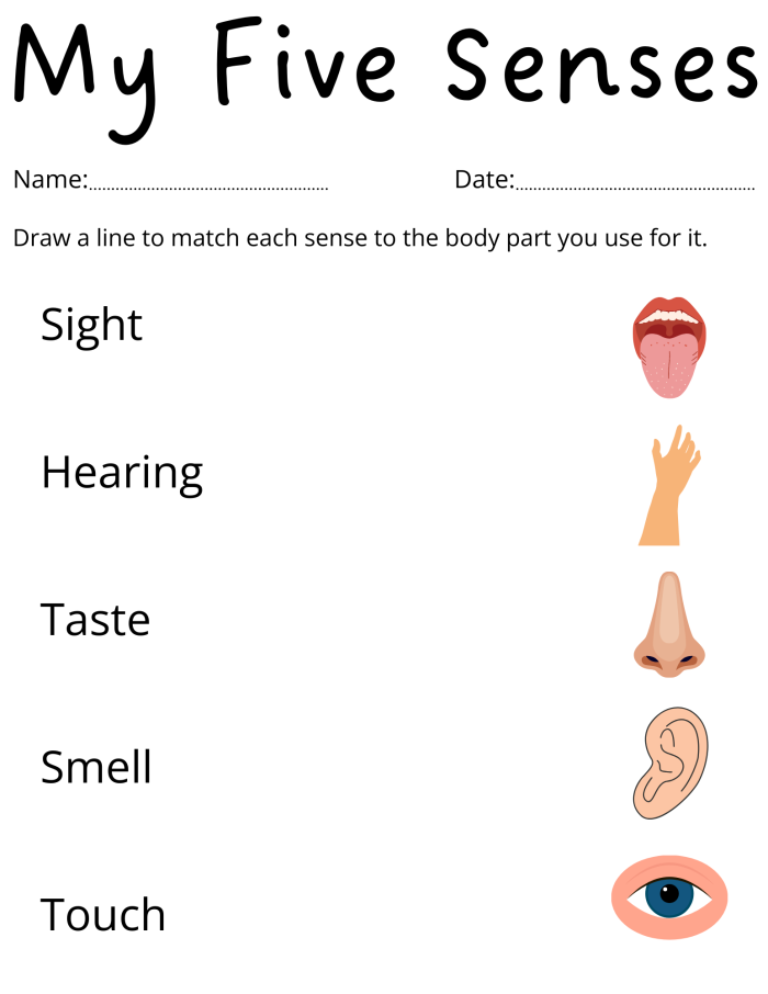 Worksheet for matching senses with images for Pre-K students