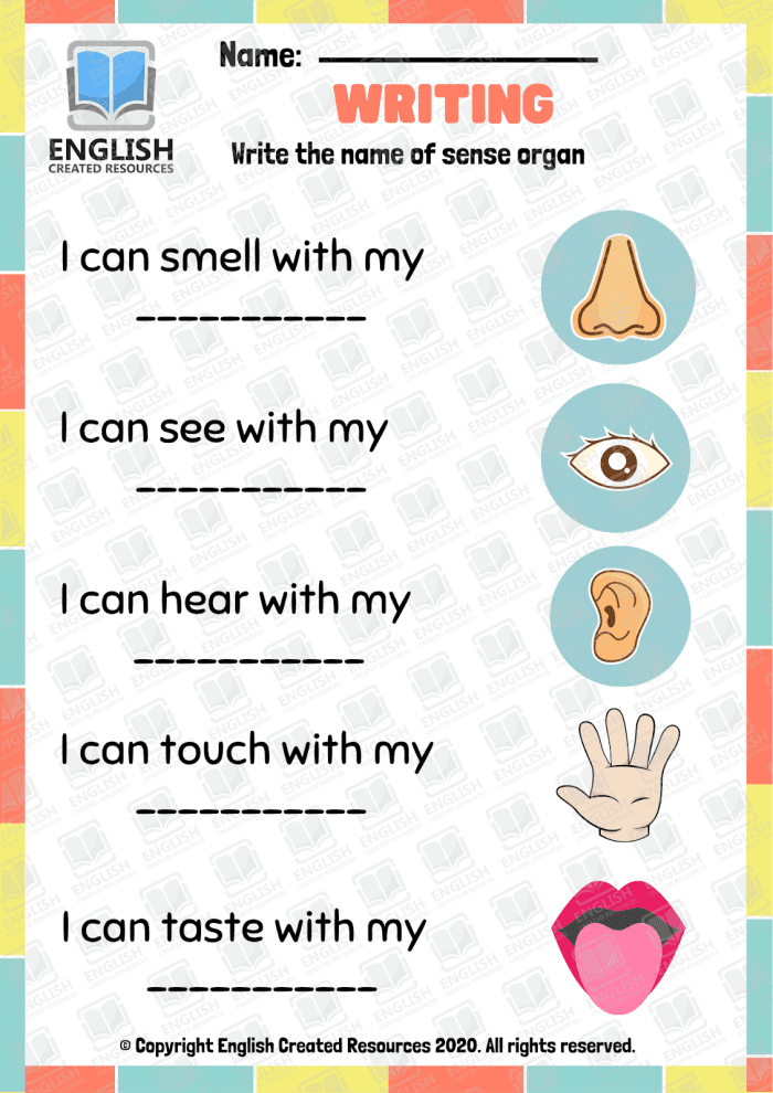 Pre-K five senses match-up activity worksheet number twenty-one