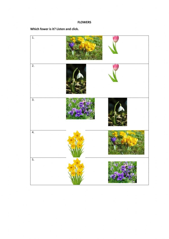 Complete a Flower Fill-In! worksheet for Physical Science in Pre-K Colorful worksheet for preschoolers to learn about the parts of a flower