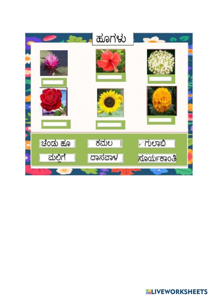 Interactive flower fill-in worksheet for young learners in Pre-K Colorful worksheet for preschoolers to learn about flower parts through a fill-in activity