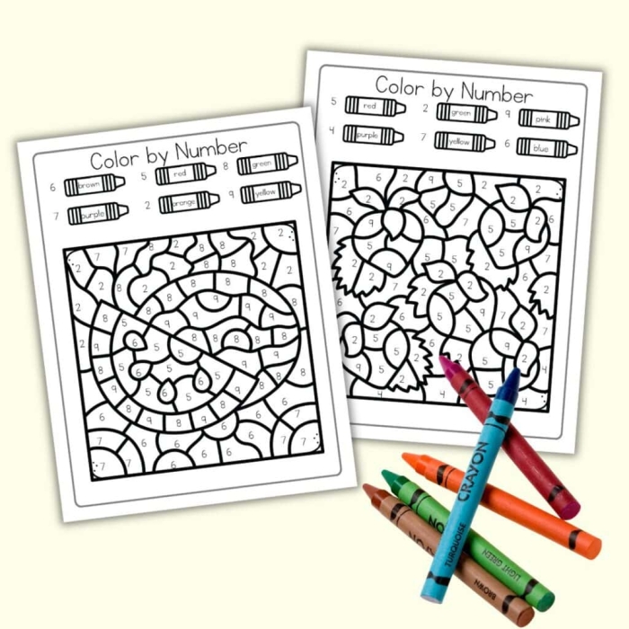 Color by number worksheet featuring various fruits for preschoolers