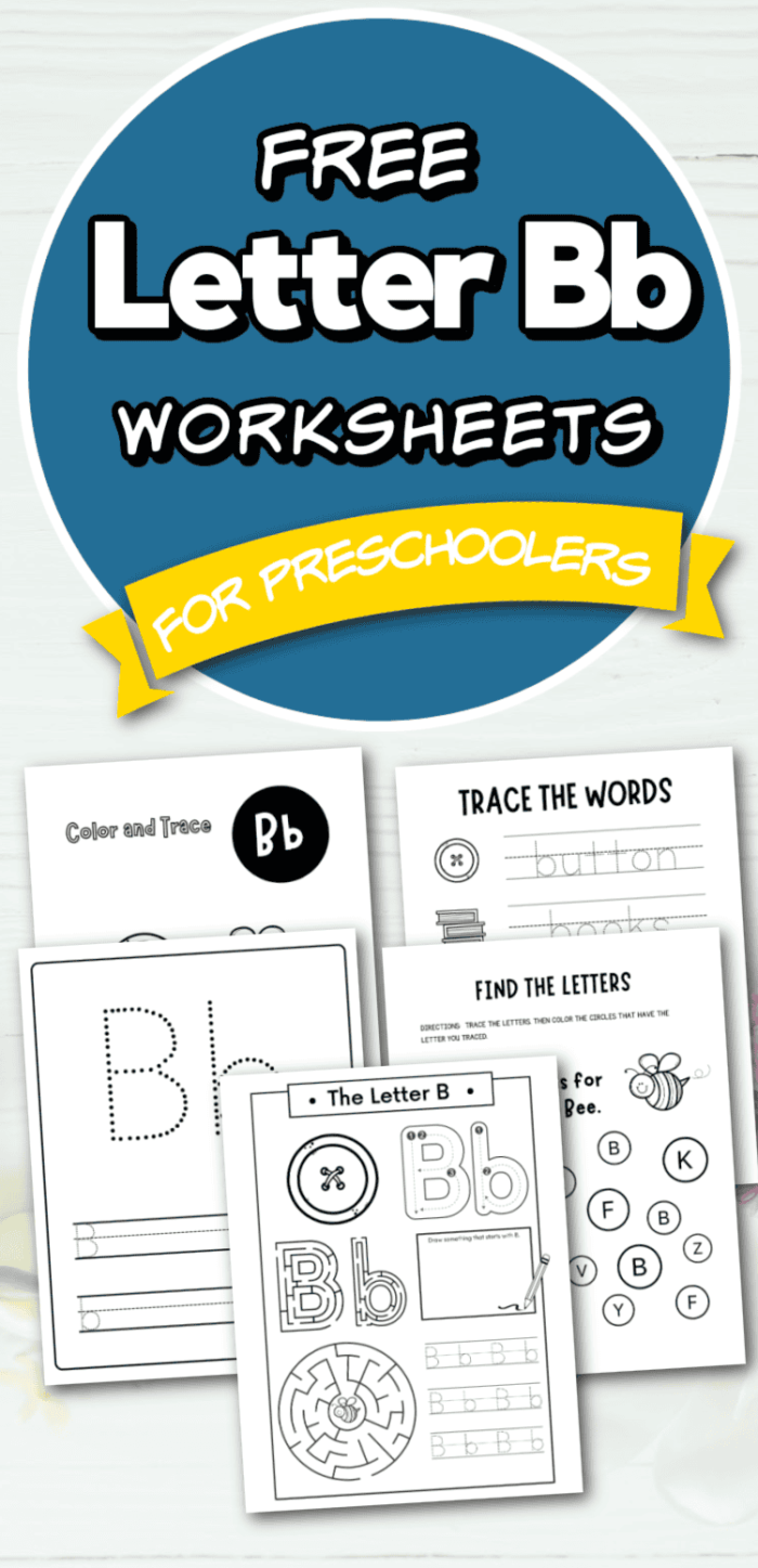 Letter B recognition activity with colorful images for early learners to practice phonics Preschool worksheet showing pictures of objects beginning with the letter B for students to identify and circle