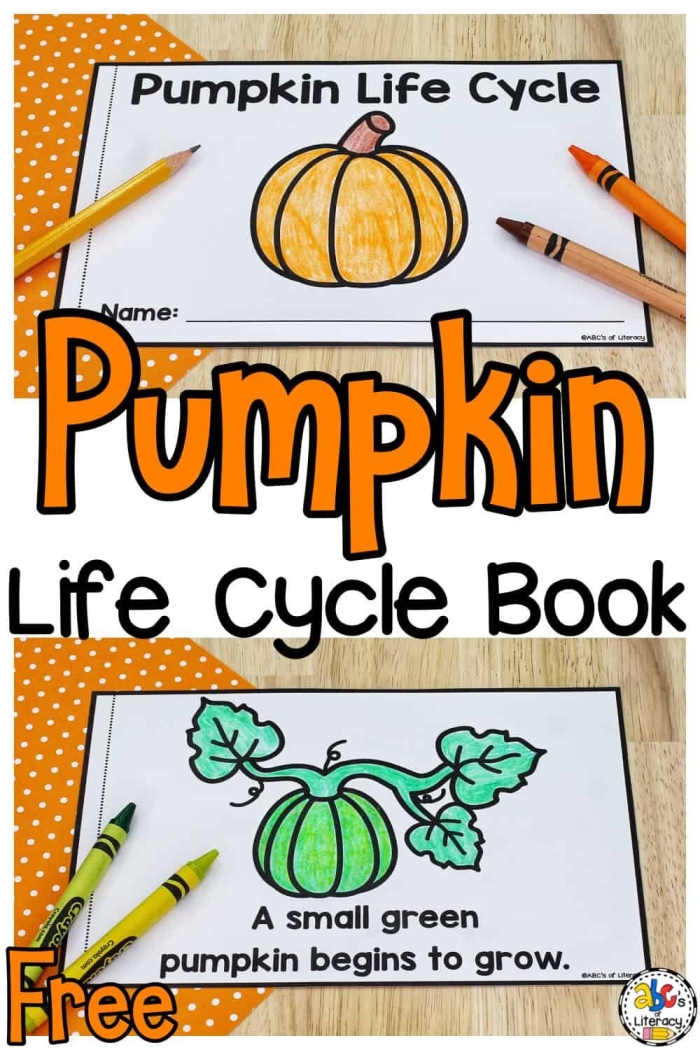Preschoolers cut and paste the stages of a pumpkin life cycle on this educational worksheet