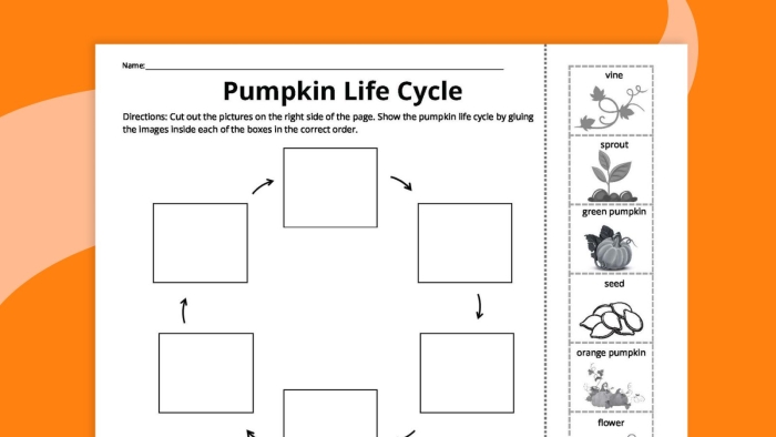 Colorful cut and paste pumpkin life cycle growth chart worksheet for preschoolers