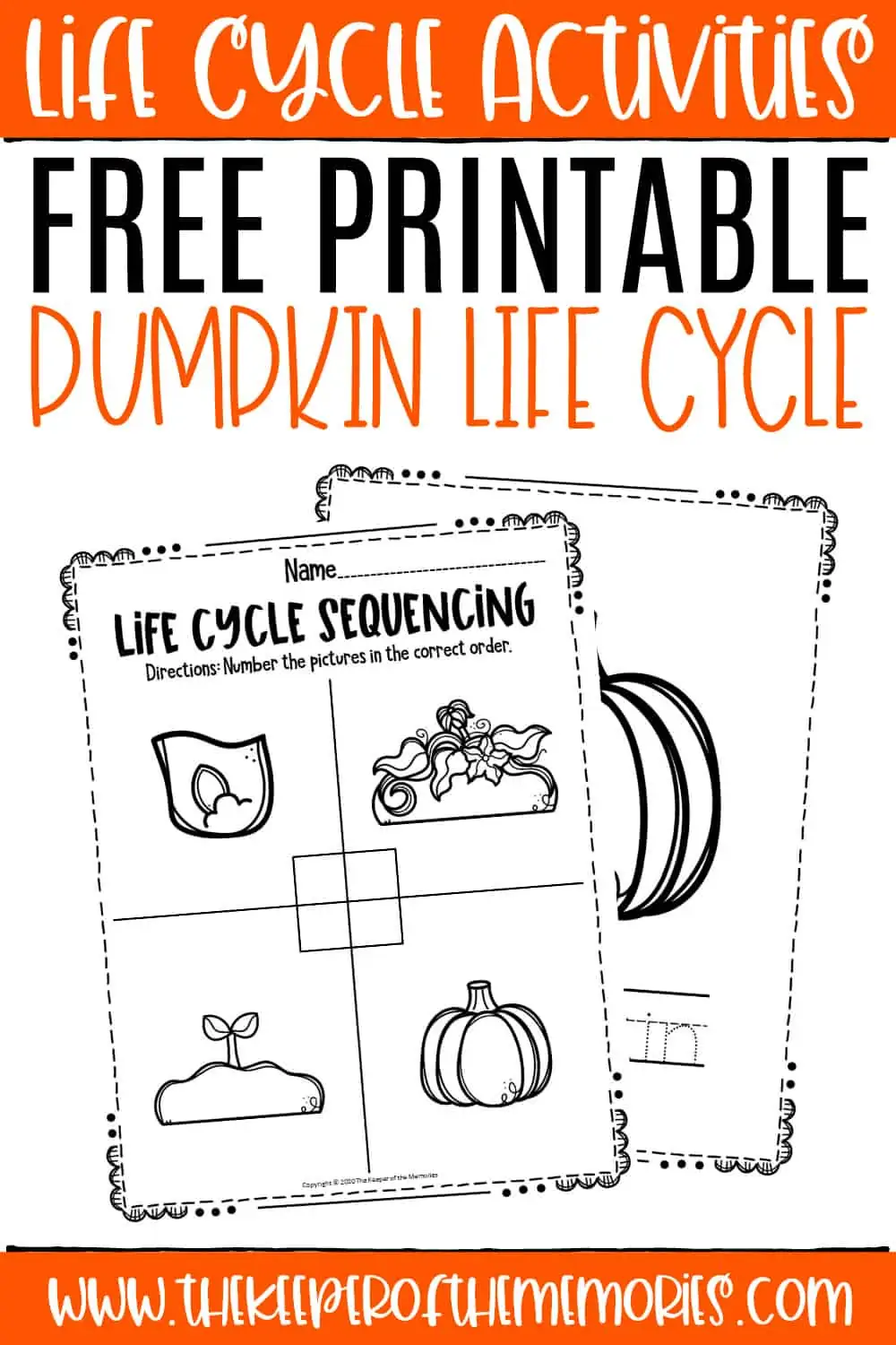 Colorful cut and paste pumpkin life cycle growth chart showing stages from seed to mature pumpkin for preschool learners