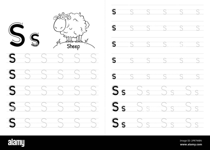 Interactive S worksheet designed for early learners to explore words associated with the letter S Worksheet featuring a hands-on activity for preschoolers to find words starting with the letter S