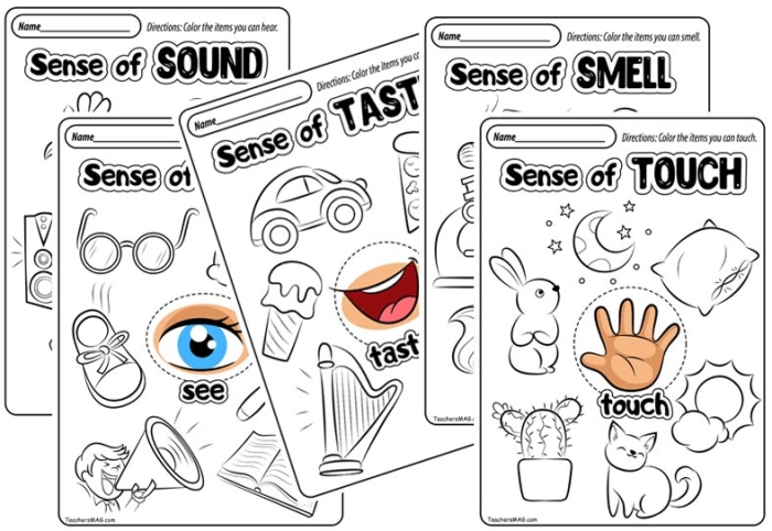 Preschool matching activity worksheet featuring illustrations of eyes ears nose mouth and hands to teach the five senses