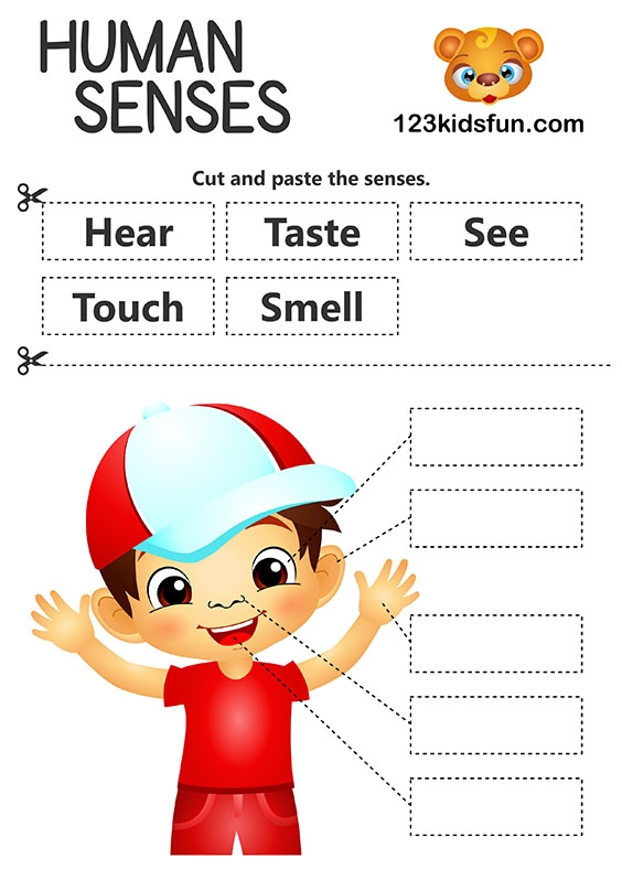 Cute worksheet for pre-K students matching senses with corresponding pictures