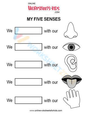 Five senses worksheet showing matching pictures for sensory activities