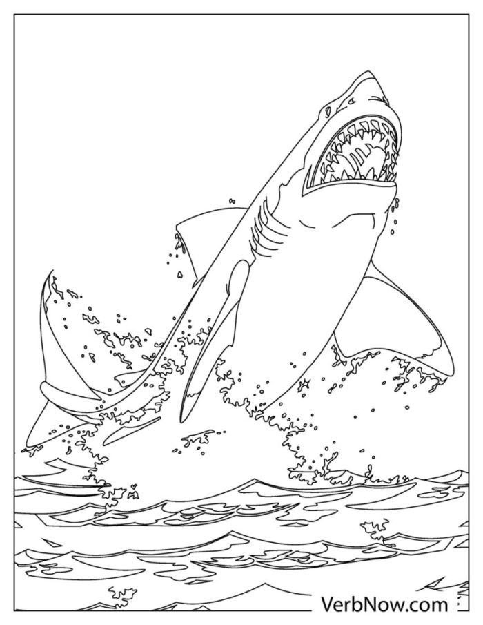 Printable coloring worksheet featuring a friendly illustration of a great white shark for preschoolers