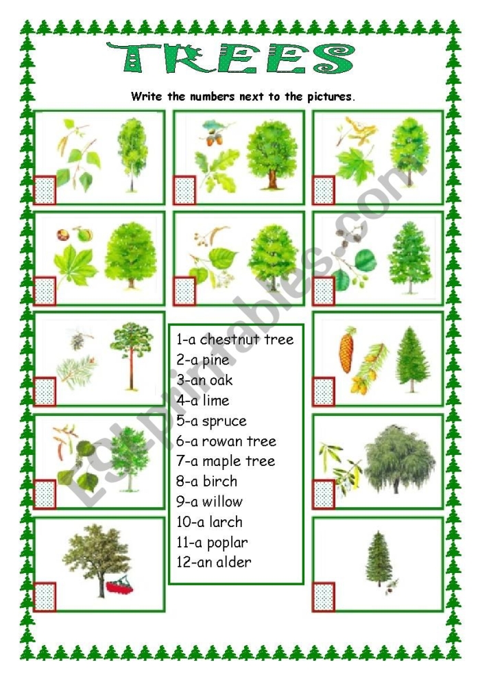 How Many Trees Are There Counting Worksheet for Pre-K Students Preschool worksheet featuring simple tree illustrations for children to practice counting and basic addition skills