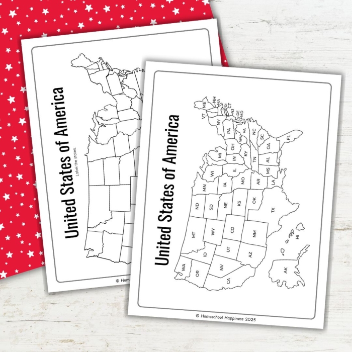 Printable 50 States Quiz worksheet for fourth graders to enhance geography skills
