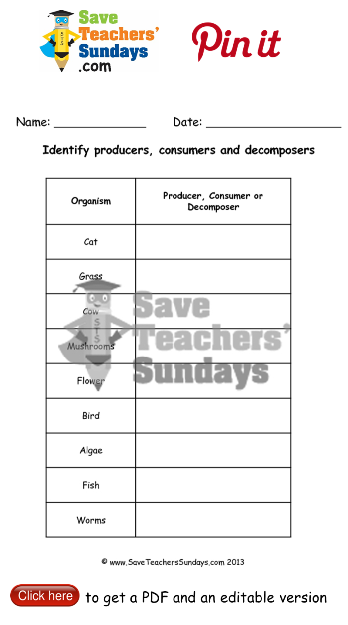 Second grade reading worksheet explaining the economic roles of producers and consumers