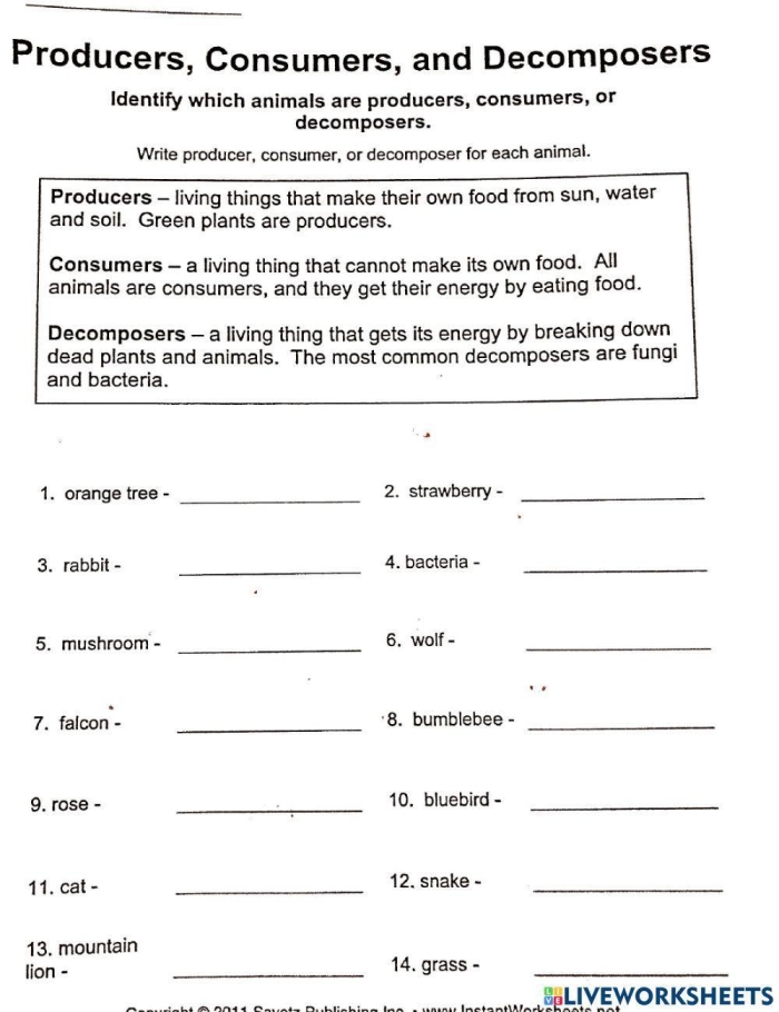 Second grade students learn the difference between producers and consumers in this social studies worksheet