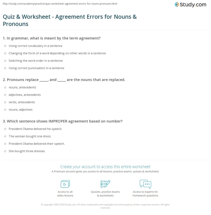 Correcting Pronoun Mistakes Practice Exercise 19 Sixth grade grammar worksheet showing sentences with pronoun errors for students to identify and correct