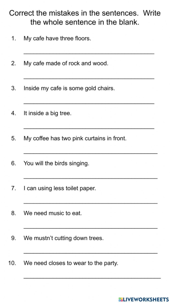 Correcting Pronoun Mistakes Practice Exercise 21 Sixth grade grammar worksheet showing sentences with pronoun errors that students must identify and correct