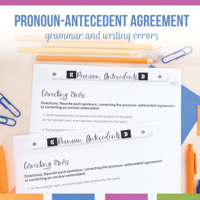 Correcting Pronoun Mistakes Practice Exercise for Middle School Students Sixth grade grammar worksheet showing sentences with pronoun errors that students must identify and correct