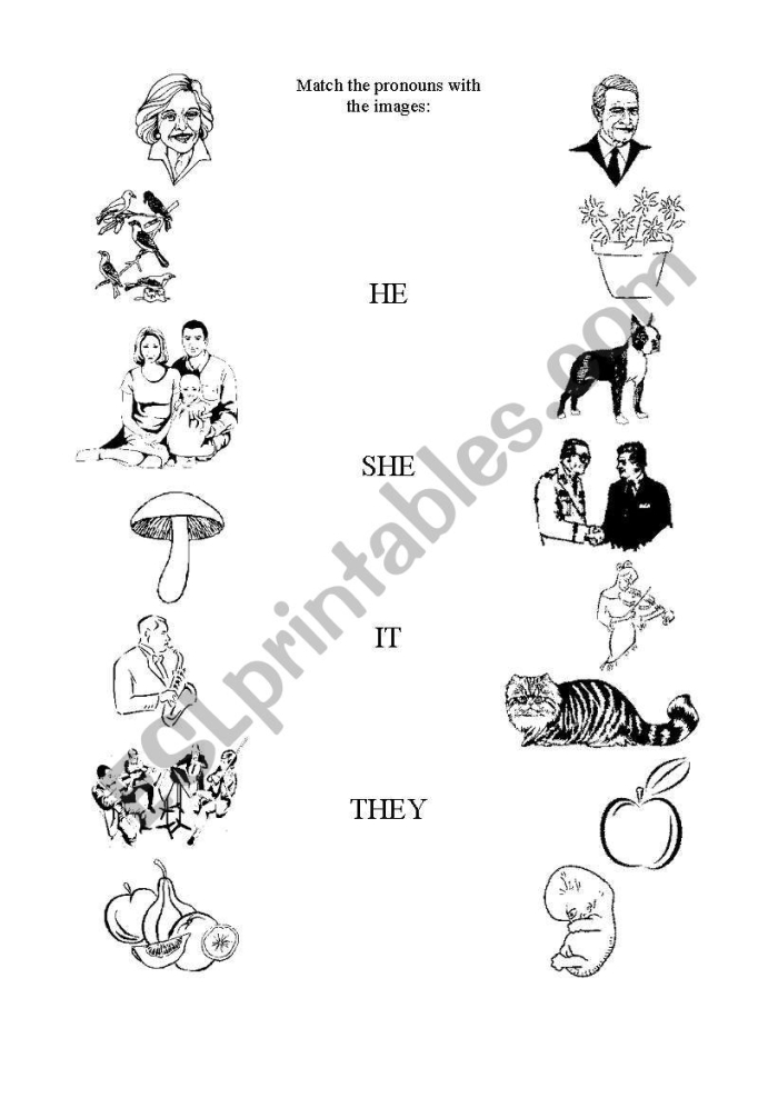 Worksheet image for evaluating pronoun usage in young learners Pronoun Matching Assessment worksheet for Pre-K students showcasing engaging activities