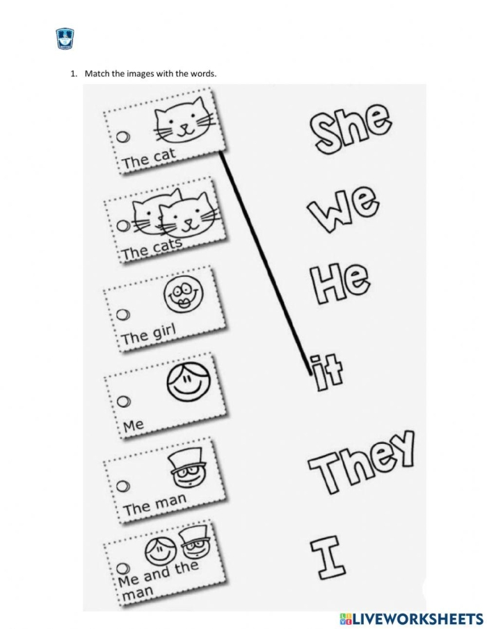 Pronoun Matching Worksheet Image for Pre-K Grammar Assessment Pronoun Matching Assessment worksheet for Pre-K students focusing on pronoun usage skills