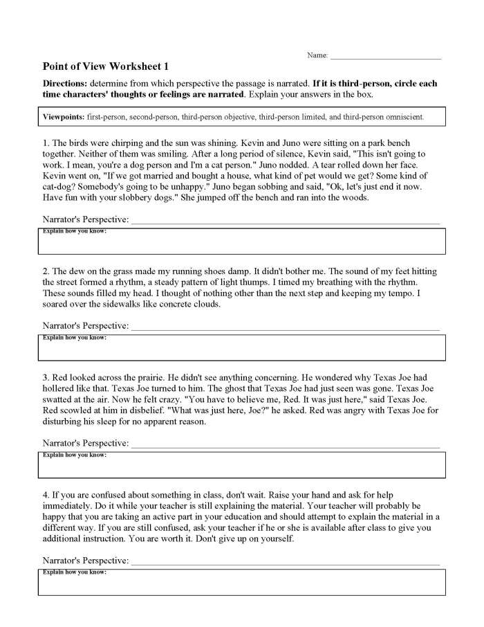 Pronouns and Point of View Practice Worksheet Ten Fourth grade grammar worksheet featuring exercises on pronouns and point of view part ten