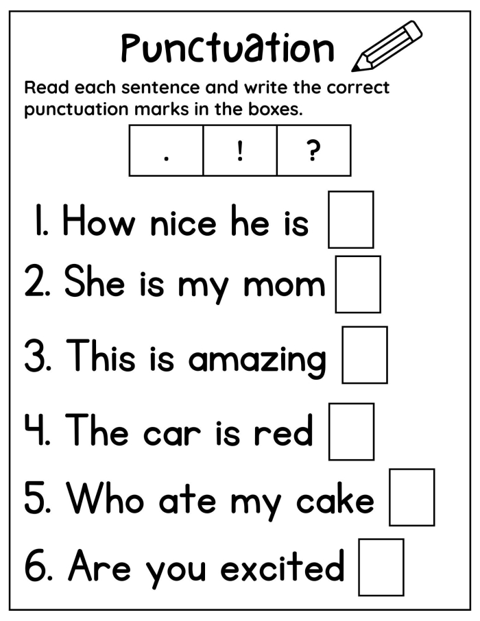 Proper Punctuation worksheet for First Grade