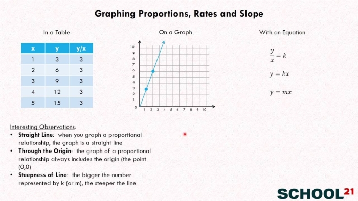 Seventh grade student analyzing a graph showing proportional relationship between two variables with a straight line through the origin