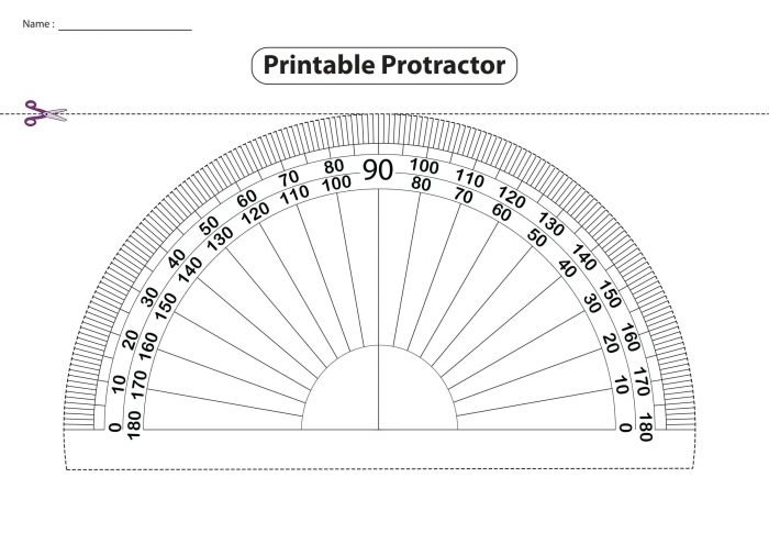 Protractor Practice worksheet for fourth graders to improve measurement skills