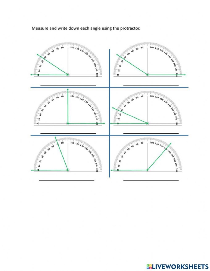 Protractor practice worksheet designed for fourth-grade students to enhance measurement skills