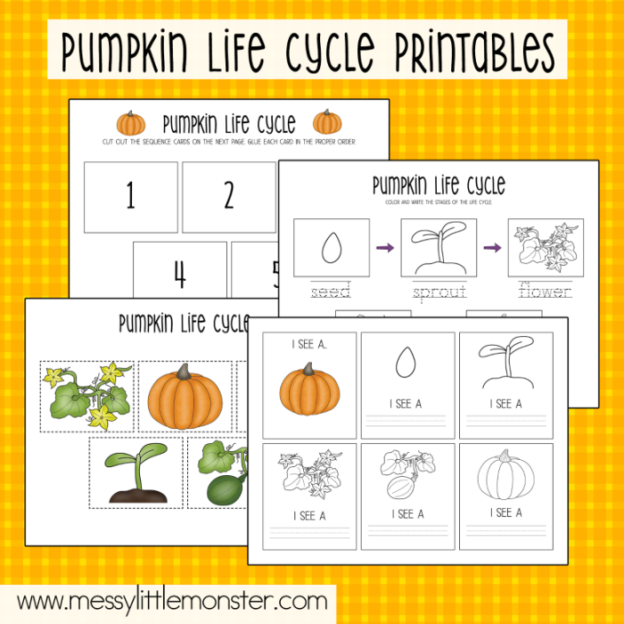 Colorful cut and paste pumpkin growth stages chart for preschool learning activities
