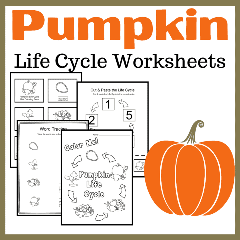 Preschoolers learning about plant development with a colorful pumpkin life cycle cut and paste worksheet