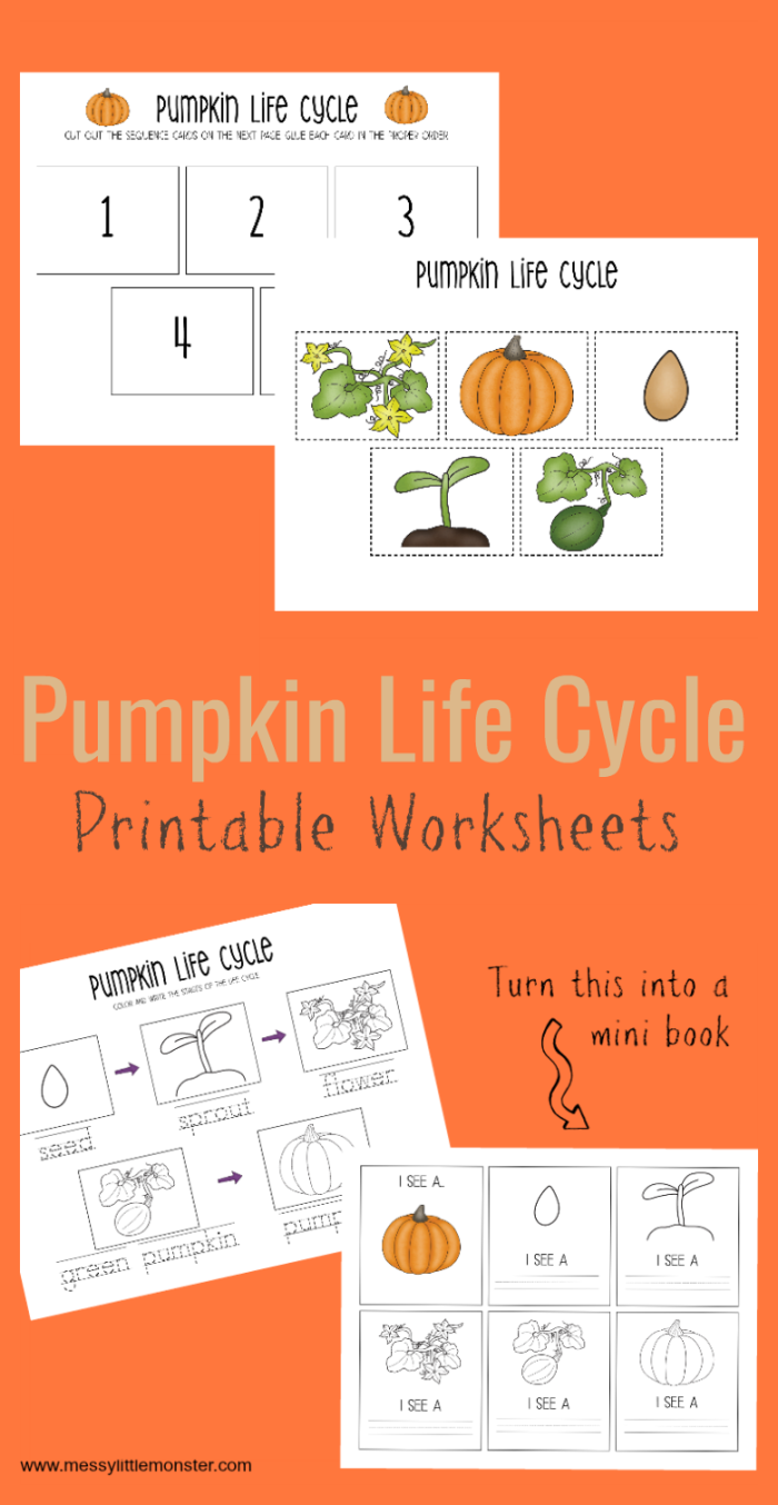 Colorful cut and paste pumpkin growth stages chart showing seeds sprouting into vines and mature pumpkins for preschool learning