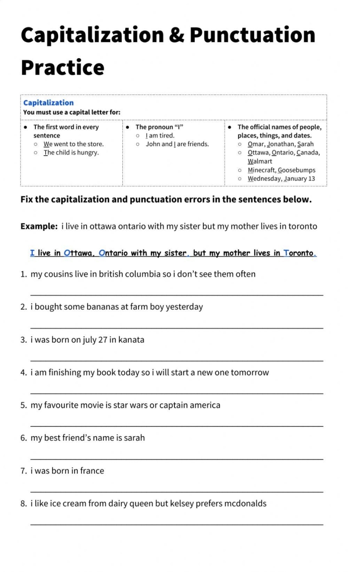 Third grade students practice fixing punctuation and capitalization errors in a set of five sentences on this worksheet