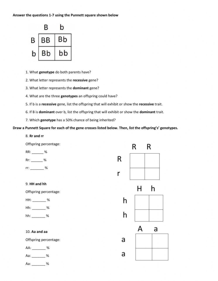 Punnett squares worksheet designed for sixth-grade students to explore genetic inheritance