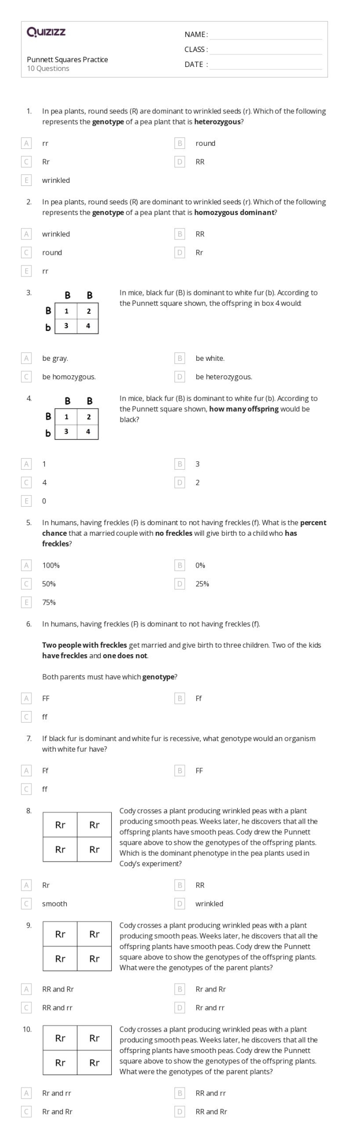 Punnett squares worksheet designed for sixth graders to explore genetic inheritance