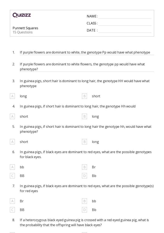 Sixth grade students practicing genetics with a Punnett squares worksheet on probability and fractions