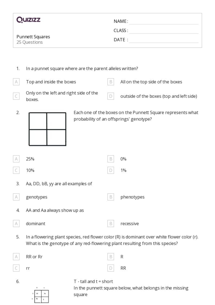 Punnett squares worksheet for sixth graders to understand genetic inheritance