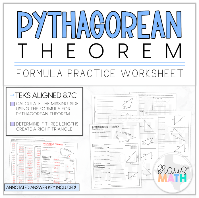 Pythagorean Theorem practice worksheet featuring various triangle types for geometry review