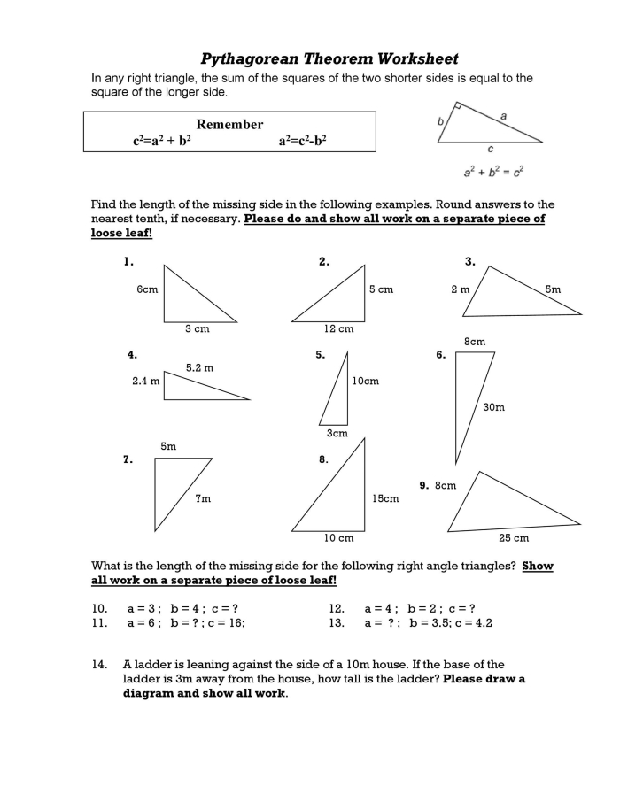 Pythagorean Theorem practice worksheet featuring various triangle types for geometry review