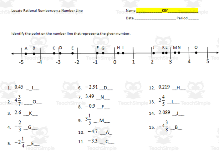 Sixth grade students plotting positive and negative fractions decimals and mixed numbers on a number line worksheet activity