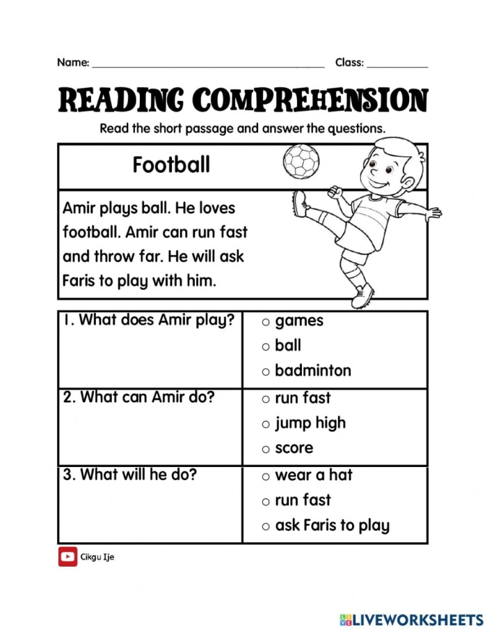 Reading Comprehension Worksheet: The Soccer Sprain for Third Graders Worksheet for reading comprehension featuring a story about Leo's soccer injury recovery