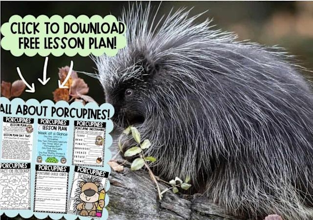 Worksheet featuring a video game passage to enhance reading comprehension for fifth graders