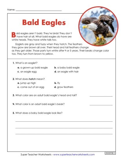 Worksheet for enhancing fourth graders' reading comprehension using The Serpent and the Eagle fable